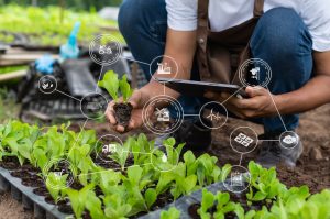 IoT Solutions for the Agriculture Industry
